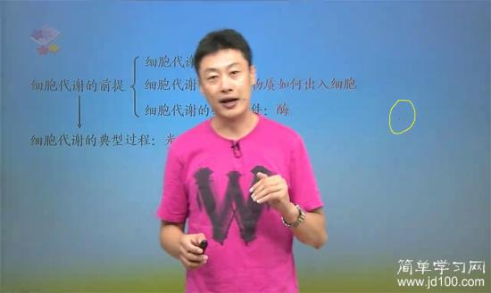 这是子弹把屏幕打穿了?_高二生物