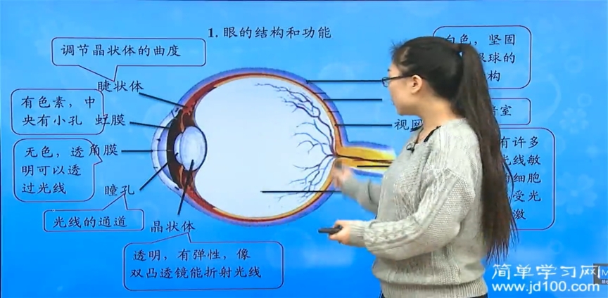 透明胶状物有一个具体名称吗?还是就叫玻