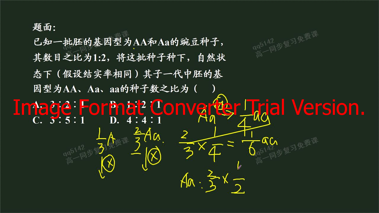 子代基因型的比例计算_高一生物