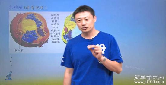 看完这视频我有一种很恐怖的感觉,也很恶心_高