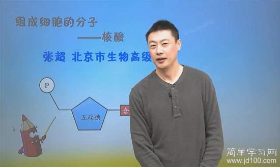 朊病毒 他既没有RNA也没有DNA _高一生物遗