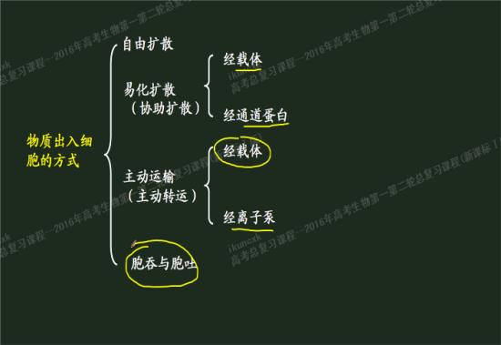 钠离子,钾离子可以通过协助扩散和主动运输_高