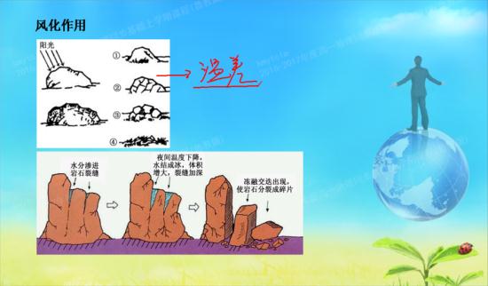 为什么石生树是风化作用_高一地理