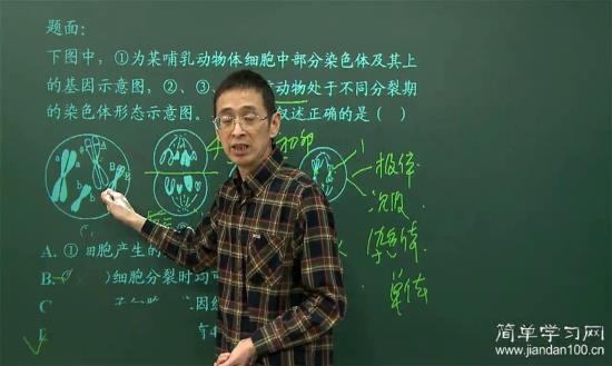 基因、染色体、DNA能不能用集合关系来理_高