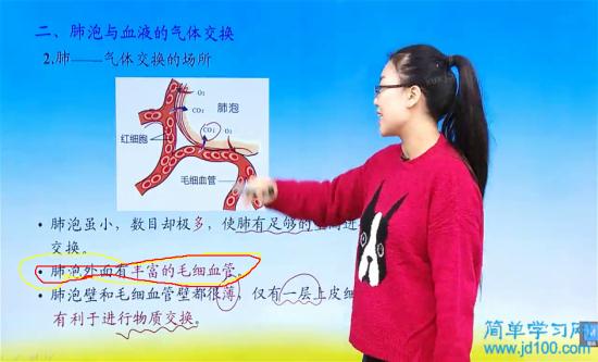 肺泡外面有丰富的毛细血管有什么作用?原因