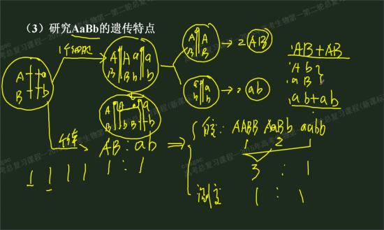 什么叫定律请问个,定律的概念是什么?