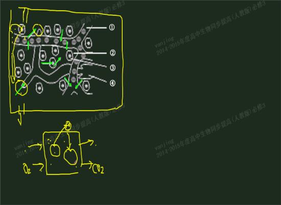 激素,酶,抗体,神经递质有什么相同点和不_高二