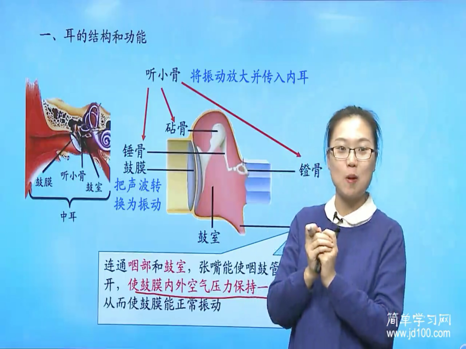 咽鼓管属于中耳吗