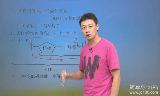 有没有怀仁一中的,我只听课,不背,还不_高一生