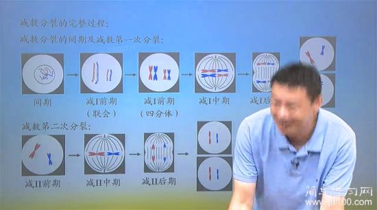 教材上说非姐妹染色单体发生交叉互换，这一_高二生物