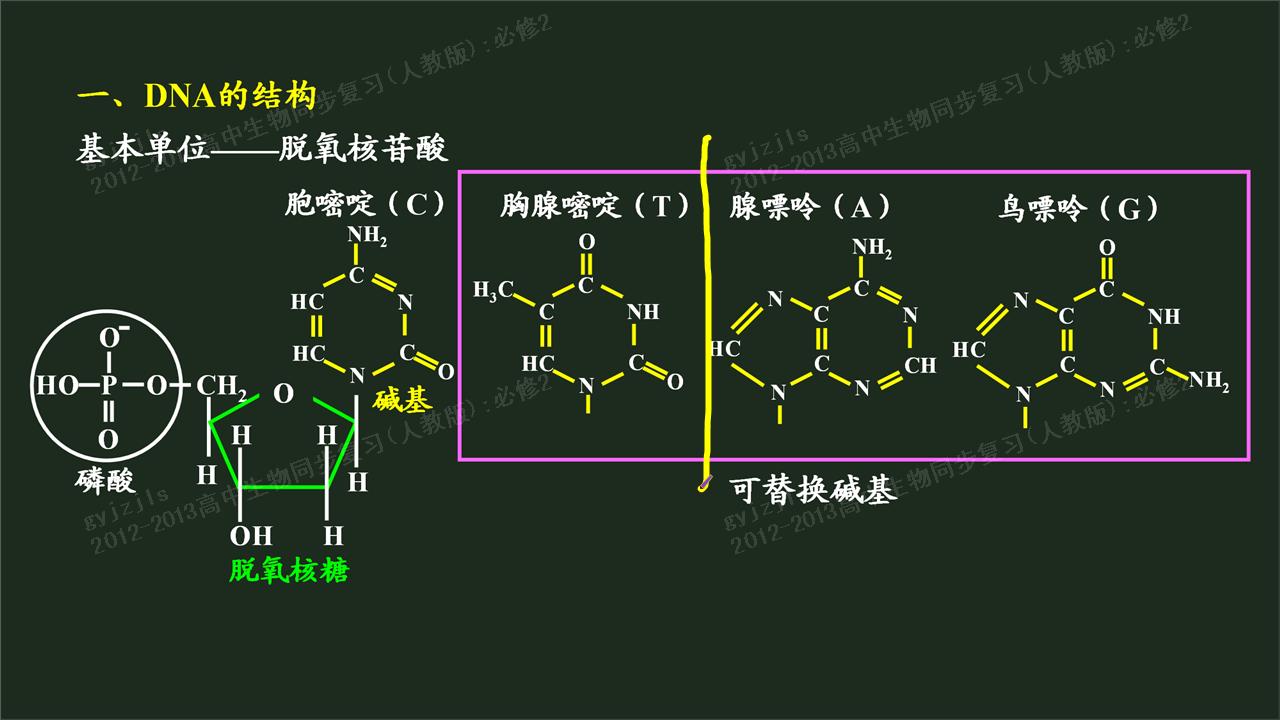 老师为啥管"g"鸟嘌呤叫尿嘧啶啊