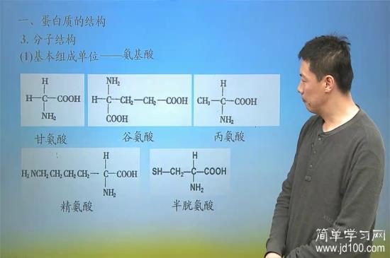 氨基和羧基是啥啊